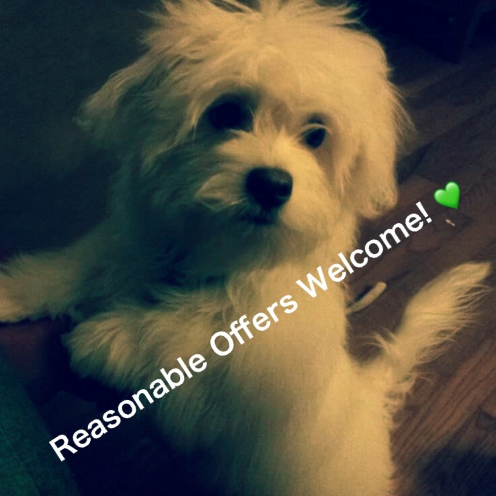 🌸Reasonable Offers Always Welcome!🌸